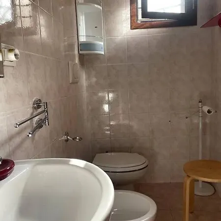Apartament Viky *